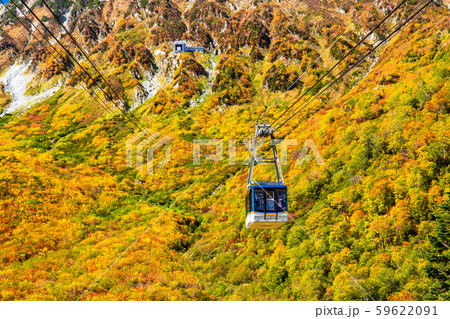 《富山県》紅葉の黒部平・立山黒部アルペンルート 59622091