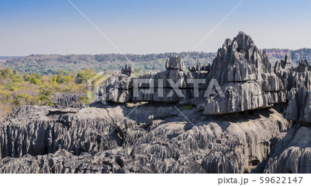 Impressive karst limestone formations in Tsingy de Bemaraha National Park, Madagascar Impressive karst limestone formations in Tsingy de Bemaraha National Park, Madagascar 59622147