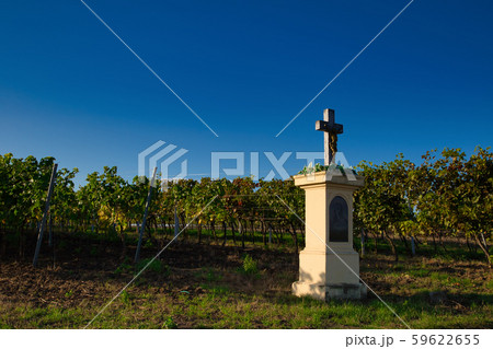 A cross in the vineyard 59622655