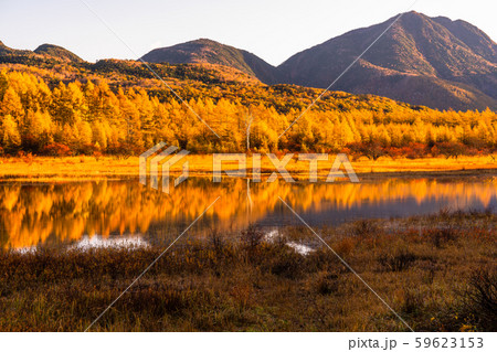 《栃木県》秋の奥日光・小田代ヶ原《幻の湖小田代湖》 59623153