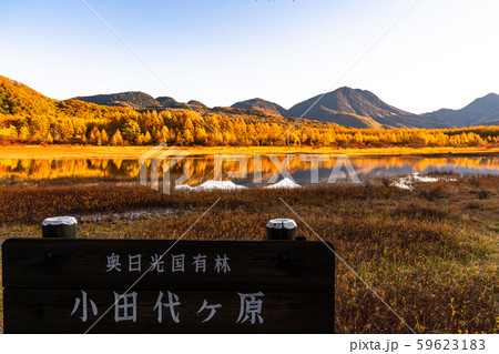 《栃木県》秋の奥日光・小田代ヶ原《幻の湖小田代湖》 59623183