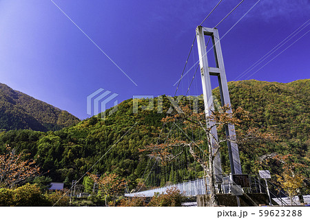 （山梨県）秋の南アルプス街道　奈良田湖の吊り橋 59623288