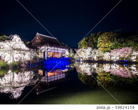 平安神宮 - 紅しだれコンサート  59624158