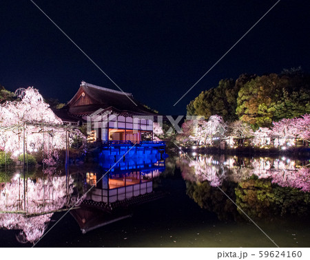 平安神宮 - 紅しだれコンサート  59624160