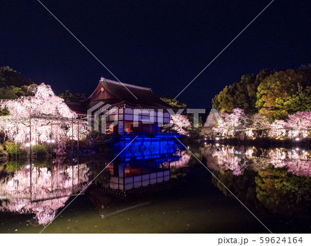 平安神宮 - 紅しだれコンサート  59624164