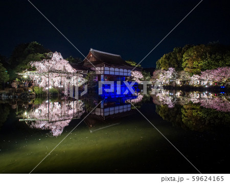 平安神宮 - 紅しだれコンサート  59624165