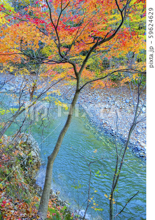 紅葉と赤谷川 59624629