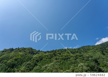 空　夏空　青空　緑　（8月） 59624882