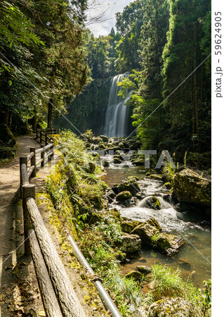 桜滝（大分県日田市天ヶ瀬） 59624905