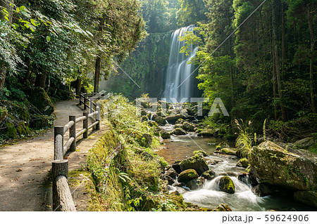 桜滝（大分県日田市天ヶ瀬） 59624906