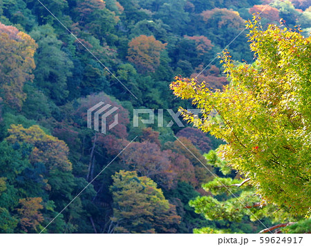 秋の嵐山 59624917