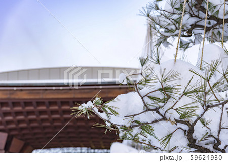 【大雪　金沢駅】　 59624930