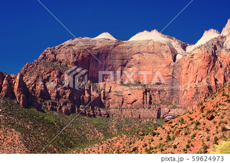アメリカ合衆国 夏のザイオン国立公園の風景 59624973