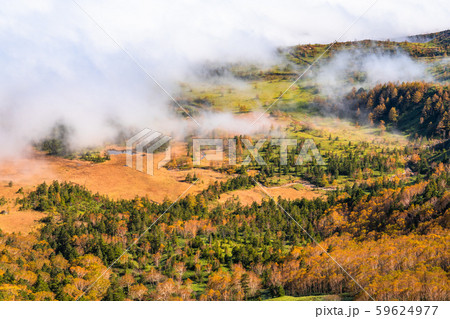 《群馬県》秋の渋峠・志賀高原 59624977