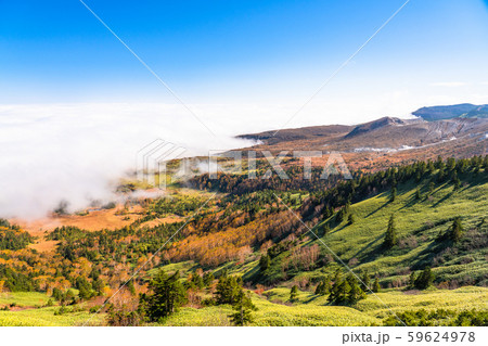 《群馬県》秋の渋峠・志賀高原 59624978