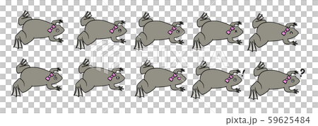シンプルなアフリカツメガエル(メス)のイラストセット 59625484
