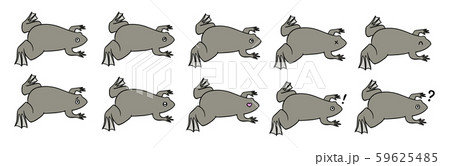 シンプルなアフリカツメガエルのイラストセット 59625485