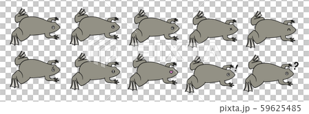 シンプルなアフリカツメガエルのイラストセット 59625485