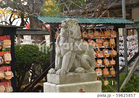 晩秋の北海道函館市湯の川で湯倉神社の境内の風景を撮影 59625857