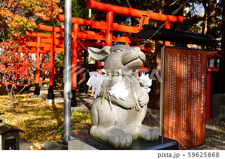 晩秋の北海道函館市湯の川で湯倉神社の境内の風景を撮影 59625868