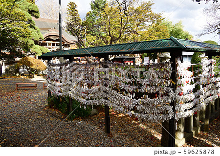 晩秋の北海道函館市湯の川で湯倉神社の境内の風景を撮影 59625878