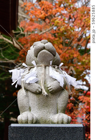 晩秋の北海道函館市湯の川で湯倉神社の境内の風景を撮影 59625885