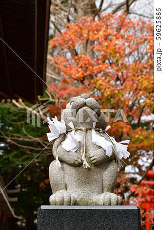 晩秋の北海道函館市湯の川で湯倉神社の境内の風景を撮影 晩秋の北海道函館市湯の川で湯倉神社の境内の風景を撮影 59625886
