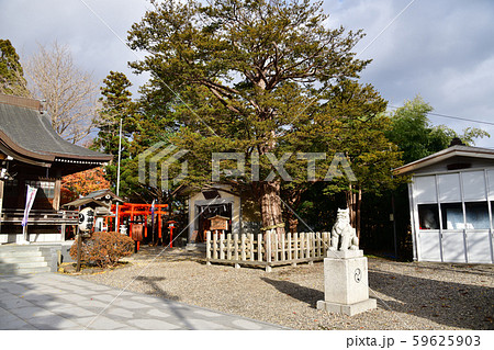 晩秋の北海道函館市湯の川で湯倉神社の境内の風景を撮影 59625903