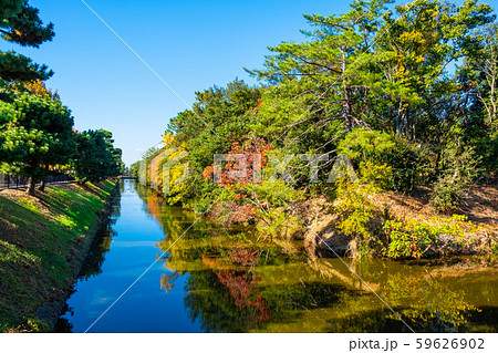 大山陵古墳　外濠 59626902