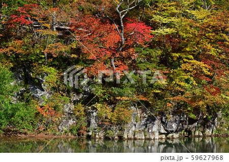 渓谷の紅葉 渓谷の紅葉 59627968