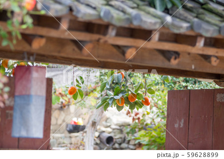 秋 背景 風景 59628899