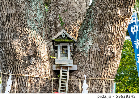 加藤神社(熊本県熊本市) 加藤神社(熊本県熊本市) 59629345