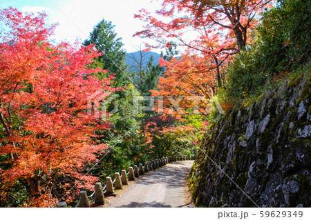 吉野山 紅葉 吉野山 紅葉 59629349