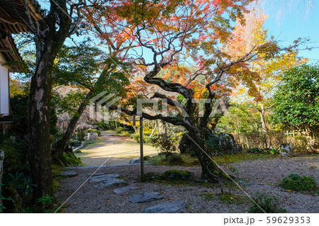 吉野 竹林院 群芳園 吉野 竹林院 群芳園 59629353