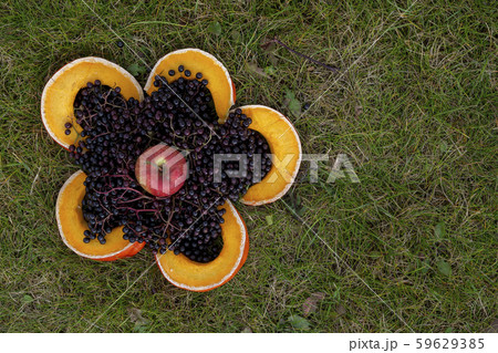 Fresh berries and pumpkin slices forming flower 59629385