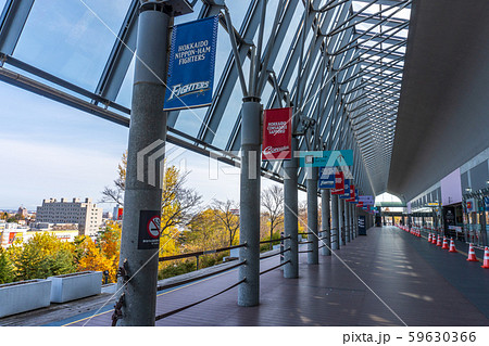 札幌ドーム 59630366