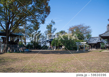 鹿島神社 境内 深谷市 鹿島神社 境内 深谷市 59630396