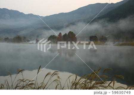 朝 霧 湖 59630749