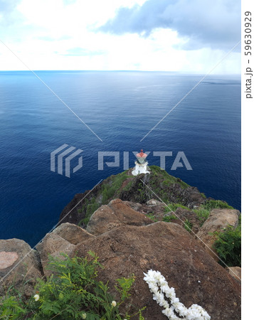 ハワイ　マカプウ岬灯台 59630929