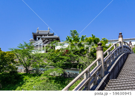 昇龍橋から見た福知山城天守閣 59630945