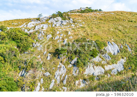 ススキが美しい平尾台の風景 59632010