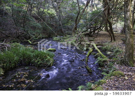 山吹水源 59633907