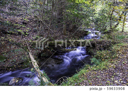 山吹水源 59633908