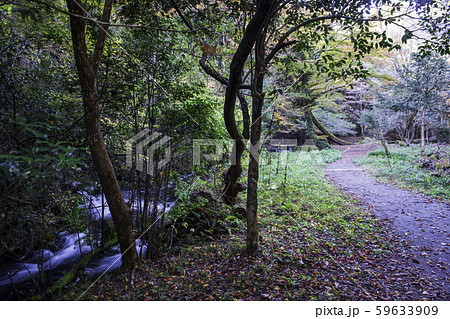 山吹水源 59633909