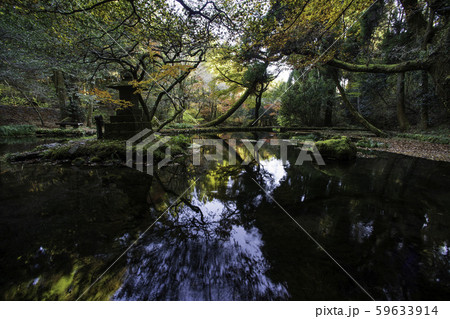 山吹水源 59633914