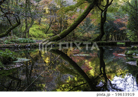 山吹水源 59633919