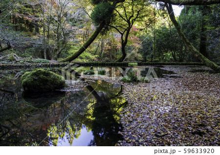 山吹水源 山吹水源 59633920
