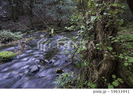 山吹水源 59633941