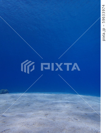 海の砂漠 59633974