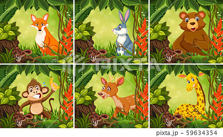 Exotic animal in jungle background 59634354